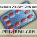 Kamagra Oral Jelly 100Mg Use 06